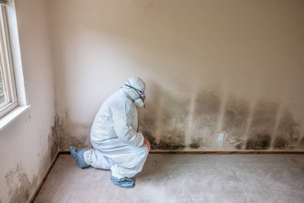 Best Emergency Mold Remediation  in Richlands, NC